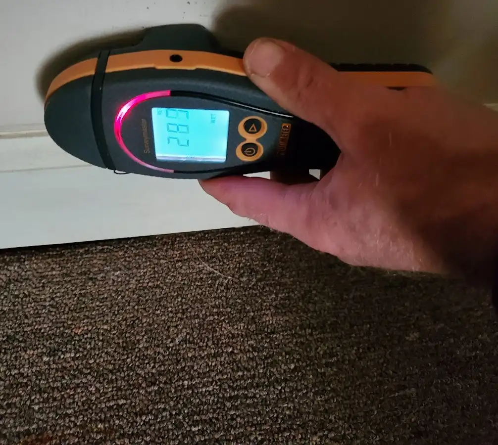 Moisture detection at baseboard during Burst Pipe Cleanup in Waxahachie